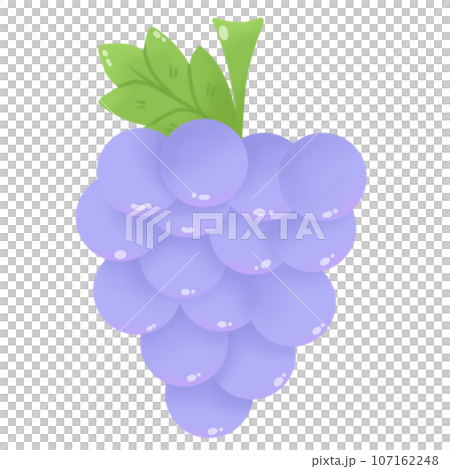 illustration of grapes illustration of grapes 107162248