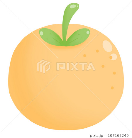 illustration of an Orange 107162249