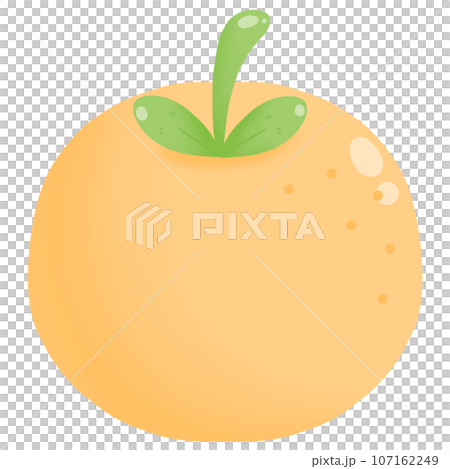 illustration of an Orange 107162249