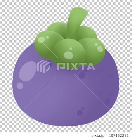 illustration of mangosteen illustration of mangosteen 107162251
