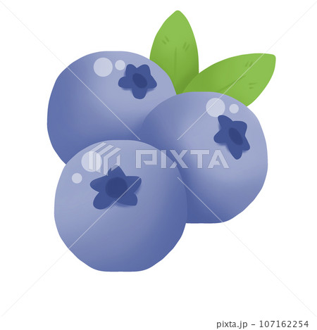 illustration of Blueberry illustration of Blueberry 107162254