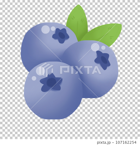 illustration of Blueberry illustration of Blueberry 107162254