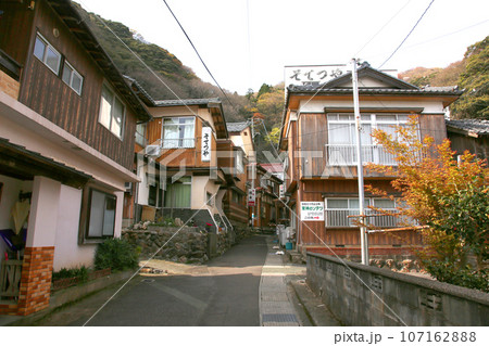 若狭　常神漁港　若狭常神　常神のソテツ　福井県若狭町　常神民宿街　若狭常神町　若狭湾　日本海　 107162888