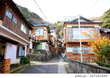 若狭　常神漁港　若狭常神　常神のソテツ　福井県若狭町　常神民宿街　若狭常神町　若狭湾　日本海　 107162889