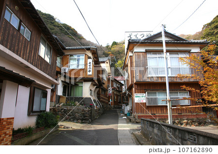 若狭　常神漁港　若狭常神　常神のソテツ　福井県若狭町　常神民宿街　若狭常神町　若狭湾　日本海　 107162890