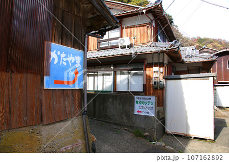若狭 常神漁港 若狭常神 常神のソテツ 福井県若狭町 常神民宿街 若狭常神町 若狭湾 日本海 若狭 常神漁港 若狭常神 常神のソテツ 福井県若狭町 常神民宿街 若狭常神町 若狭湾 日本海 107162892