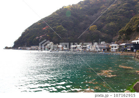 若狭 常神漁港 若狭常神 常神のソテツ 福井県若狭町 常神民宿街 若狭常神町 若狭湾 日本海 若狭 常神漁港 若狭常神 常神のソテツ 福井県若狭町 常神民宿街 若狭常神町 若狭湾 日本海 107162915