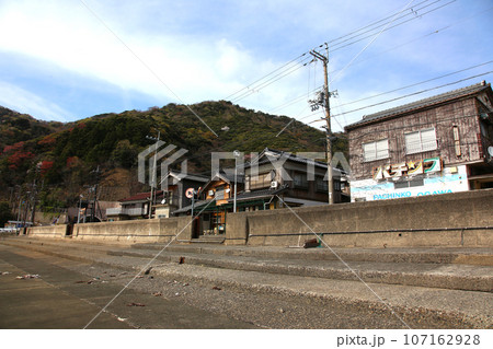 若狭 常神漁港 若狭常神 常神のソテツ 福井県若狭町 常神民宿街 若狭常神町 若狭湾 日本海 若狭 常神漁港 若狭常神 常神のソテツ 福井県若狭町 常神民宿街 若狭常神町 若狭湾 日本海 107162928