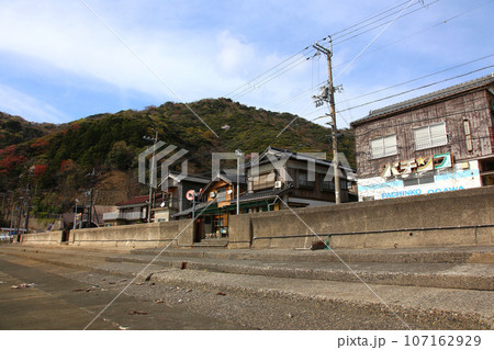 若狭 常神漁港 若狭常神 常神のソテツ 福井県若狭町 常神民宿街 若狭常神町 若狭湾 日本海 若狭 常神漁港 若狭常神 常神のソテツ 福井県若狭町 常神民宿街 若狭常神町 若狭湾 日本海 107162929