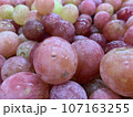 安芸クイーン 107163255