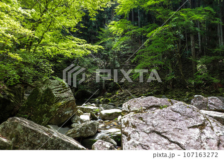初夏の赤目渓谷 107163272