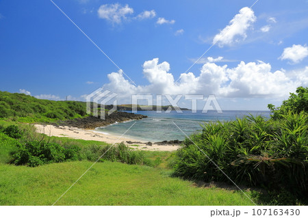 草原の向こうに美しい海が広がる与那国島ダンヌ浜の風景 107163430