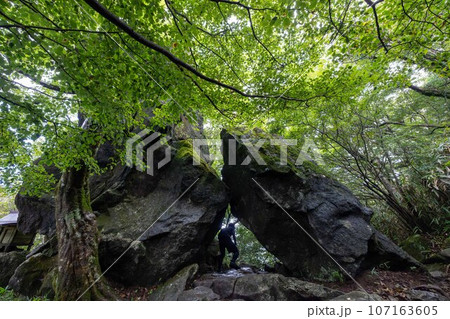 男性は長いトンネルの先に何を見たというのか 男性は長いトンネルの先に何を見たというのか 107163605