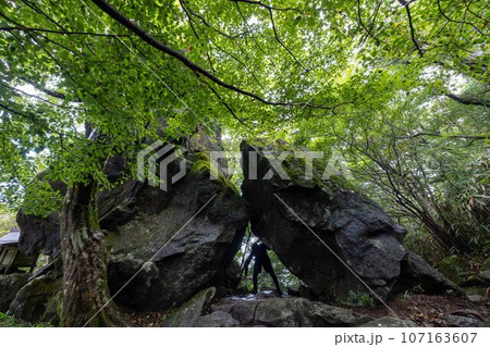 まだ前に進むというのかこの男性は 107163607