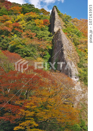 紅葉深まる立久恵峡【島根県出雲市乙立町】 107163955