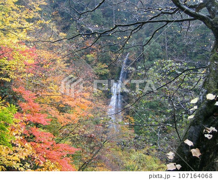 秋田抱返り渓谷の回顧(みかえり)の滝と紅葉 秋田抱返り渓谷の回顧(みかえり)の滝と紅葉 107164068