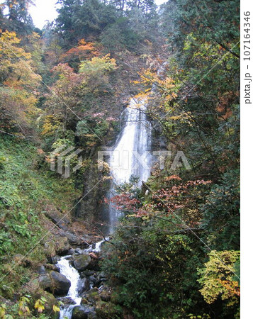 秋田抱返り渓谷の回顧（みかえり）の滝の水の流れと紅葉 107164346