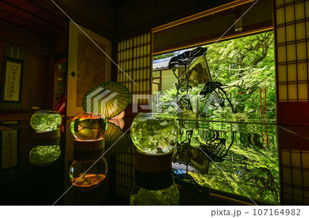 【滋賀】湖南三山、長寿寺、落ち着いた空間で癒されました。 【滋賀】湖南三山、長寿寺、落ち着いた空間で癒されました。 107164982