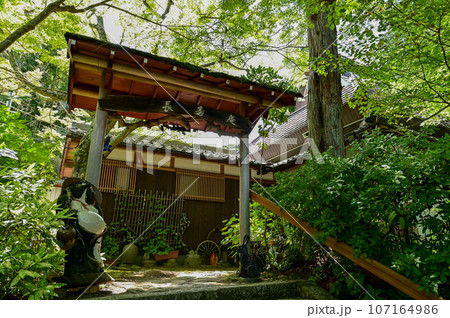 【滋賀】湖南三山、長寿寺、落ち着いた空間で癒されました。 【滋賀】湖南三山、長寿寺、落ち着いた空間で癒されました。 107164986