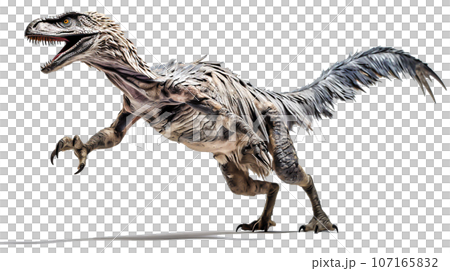 Velociraptor image 4-3 Velociraptor image 4-3 107165832