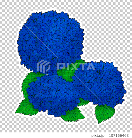 Illustration material of hydrangea 107166468