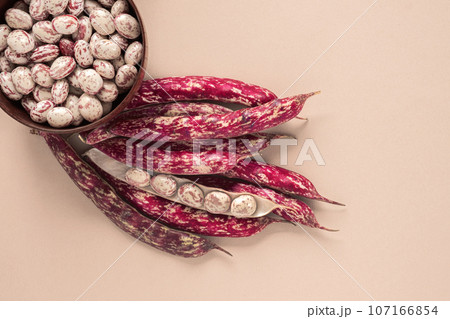 Cranberry beans. Borlotti bean pods in bowl. Top view. Stylish modern food background. Magenta color. Creative foodstuff flat lay. Grocery, dietary backdrop. Advertising, trendy magazine publication. Cranberry beans. Borlotti bean pods in bowl. Top view. Stylish modern food background. Magenta color. Creative foodstuff flat lay. Grocery, dietary backdrop. Advertising, trendy magazine publication. 107166854