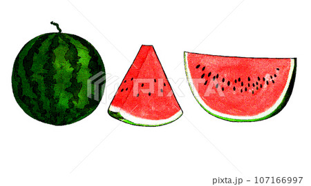 スイカのイラスト素材セット 107166997