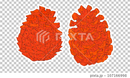 松ぼっくりのイラスト素材 107166998