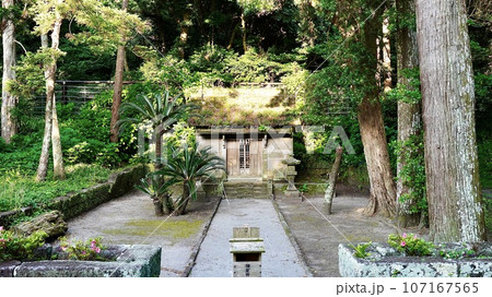 東京都伊豆諸島新島にある十三社神社 東京都伊豆諸島新島にある十三社神社 107167565