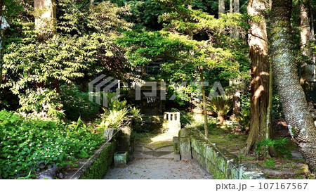 東京都伊豆諸島新島にある十三社神社 東京都伊豆諸島新島にある十三社神社 107167567