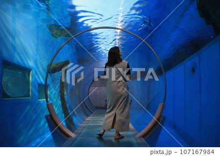 水中散歩　八景島シーパラダイス 107167984