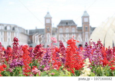 赤い花建物 赤い花建物 107168082