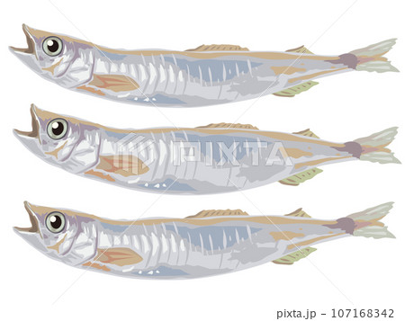 ししゃも 107168342