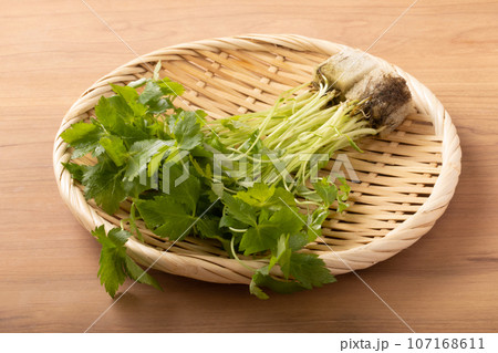 姫みつば 107168611