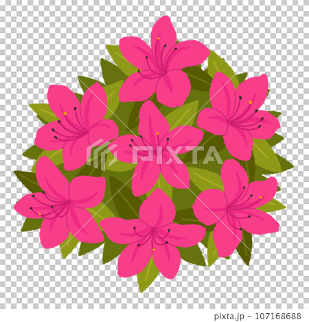 ツツジのイラストのイラスト素材 [107168688] - PIXTA