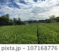 富士山2 107168776
