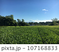 富士山3 107168833