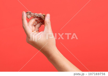Hand Holding Food 107169756