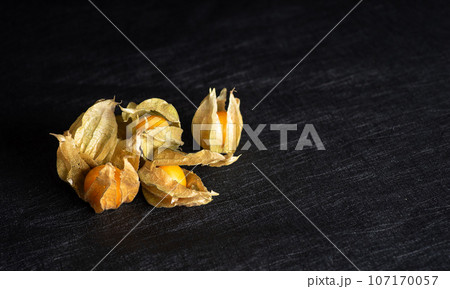 Physalis peruviana, Peruvian strawberry - Aztec fruit, medicinal plant 107170057