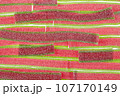 Texture of the marmalade strips laid out in rows of bright red-green colors, sprinkled with sugar. 107170149
