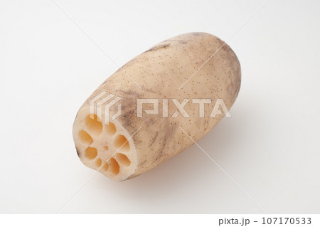 美味しそうな蓮根　切り抜き可能 107170533