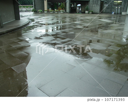 秋の公園の雨降りの広場風景 107171393