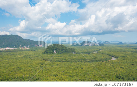 Aerial top view of lush green trees from above in tropical forest in national park in summer season. Natural landscape. Pattern texture background. 107173167