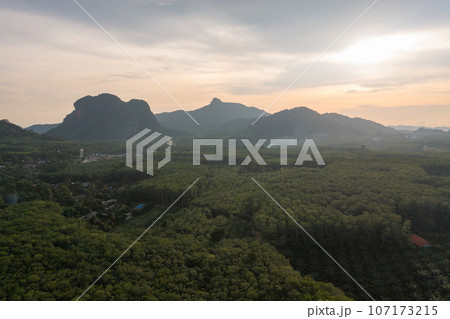 Aerial top view of lush green trees from above in tropical forest in national park in summer season. Natural landscape. Pattern texture background. Aerial top view of lush green trees from above in tropical forest in national park in summer season. Natural landscape. Pattern texture background. 107173215