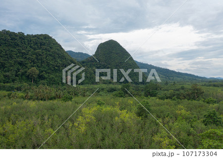 Aerial top view of lush green trees from above in tropical forest in national park in summer season. Natural landscape. Pattern texture background. Aerial top view of lush green trees from above in tropical forest in national park in summer season. Natural landscape. Pattern texture background. 107173304
