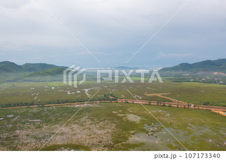 Aerial top view of lush green trees from above in tropical forest in national park in summer season. Natural landscape. Pattern texture background. Aerial top view of lush green trees from above in tropical forest in national park in summer season. Natural landscape. Pattern texture background. 107173340