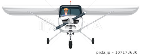 Single Engine Light Aircraft Vector 107173630