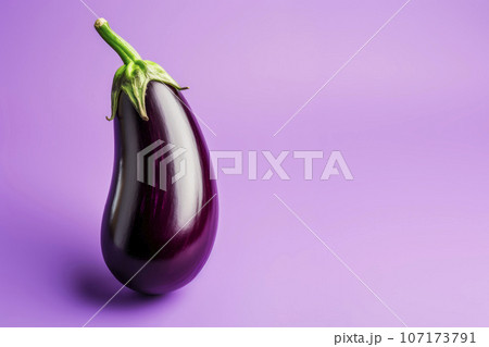 Ripe eggplant on a bright background. Minimalism. 107173791