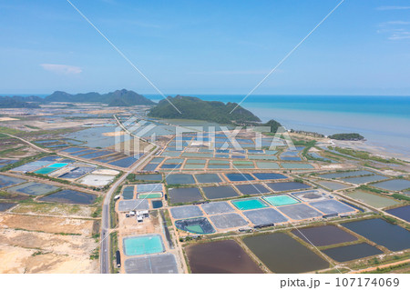 Aerial view of natural sea salt ponds, lake or sea. Farm field outdoor in traditional industry in Thailand. Asia culture. Agriculture irrigation. River reflection. Aerial view of natural sea salt ponds, lake or sea. Farm field outdoor in traditional industry in Thailand. Asia culture. Agriculture irrigation. River reflection. 107174069