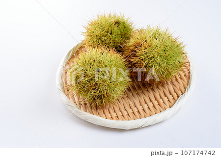 緑色から色が変わり始めたいがぐりを収穫　 107174742